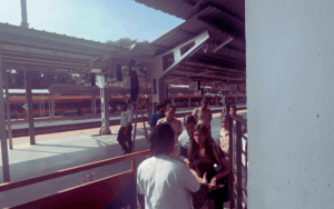 snehalaya-Shiji-rescue-27nov2025-05.